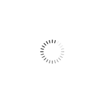 AeroChamber Adulto con Flow Vu